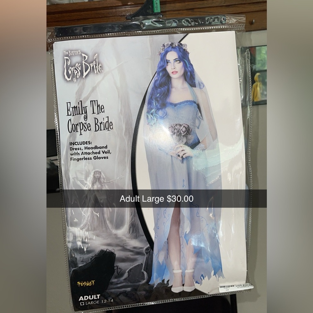 Adult Large costume